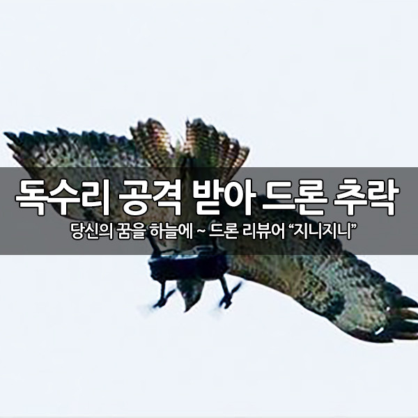 독수리의 공격을 받은 DJI, 매빅에어 드론 독수리의 공격을 받은 DJI, 매빅에어 드론