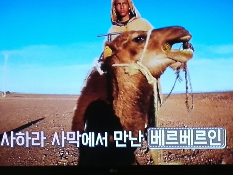  아틀라스 산맥 모로코  kbs  ( 공유 )