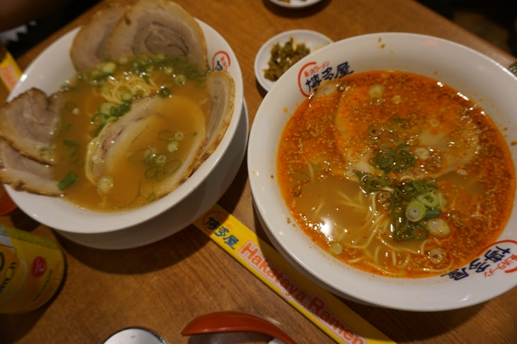  [브리즈번맛집/브리즈번 라멘] 간단하게 한 끼 하기 좋은 일본 라멘 맛집 하카타야 라멘(Hakataya Ramen)
