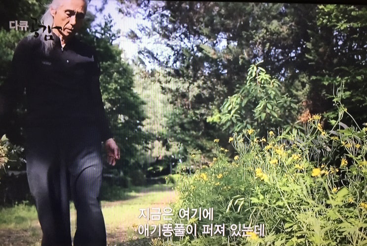  자연으로부터 배우는 삶의 지혜 <화가의 정원> 죽설헌