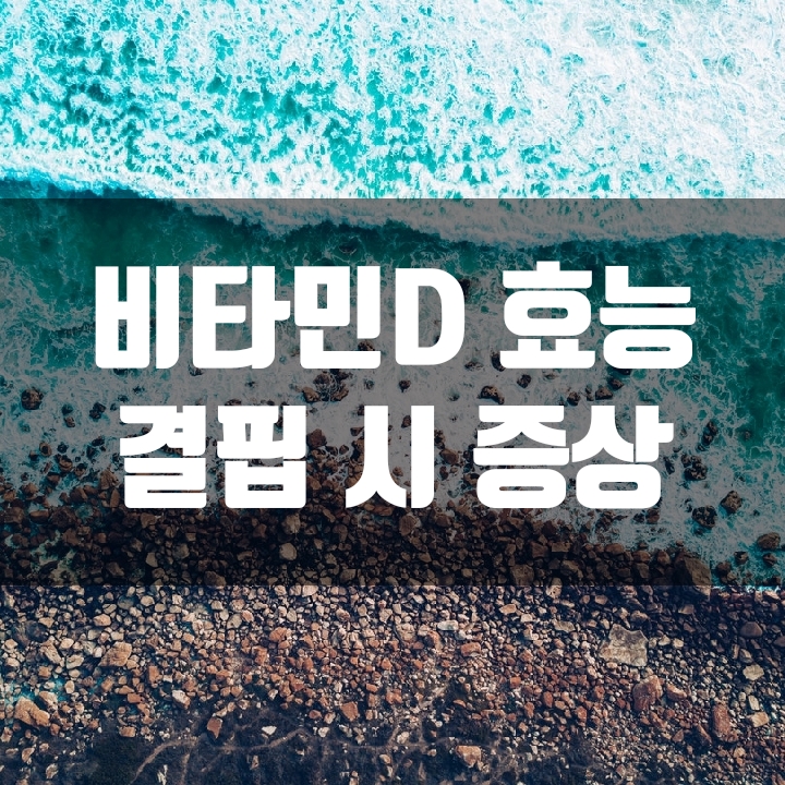  비타민D 효능 및 결핍 증상