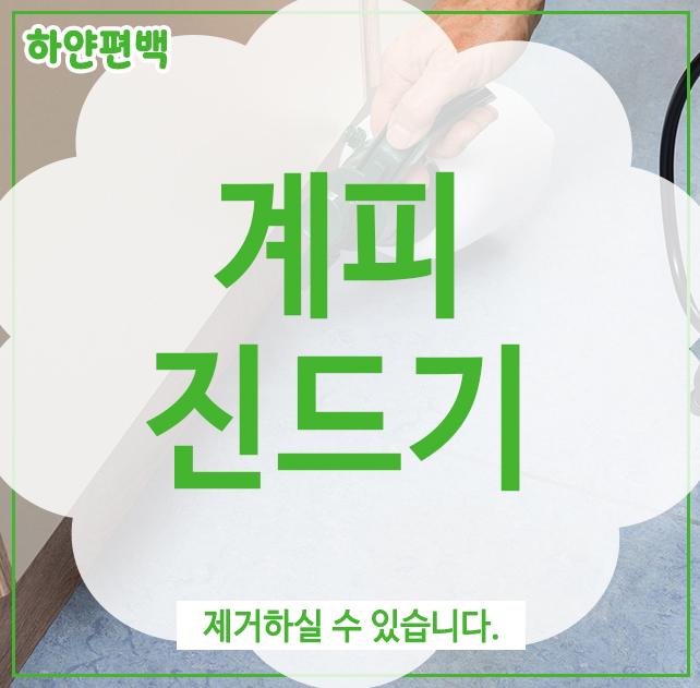  계피진드기, 제거하실 수 있습니다.