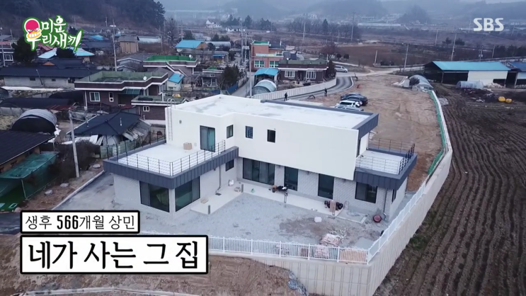  미운오리새끼에서 장동민 전원주택 공개되다.