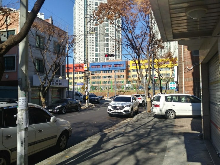  바이올린 교습 종류와 가르치는 방식