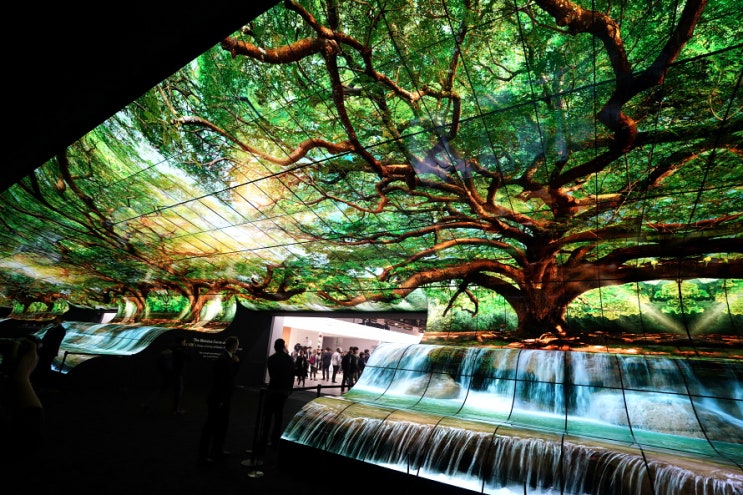  LG 롤러블 TV 등장! 시그니처 올레드TV R 선보인 CES2019