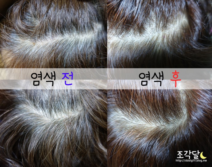  다루비타염색칼라 밝은초코브라운으로 엄마 새치머리염색 성공