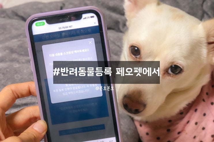  반려동물등록 페오펫 모바일로 1분만에 강아지외장칩까지