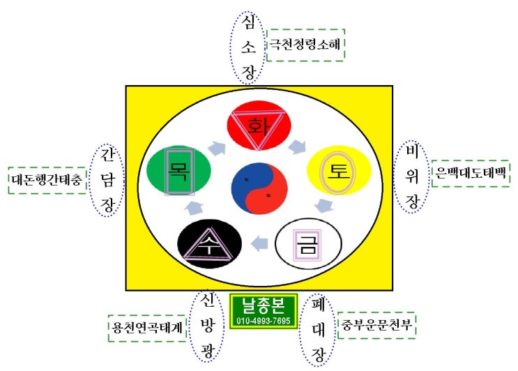  상생상극