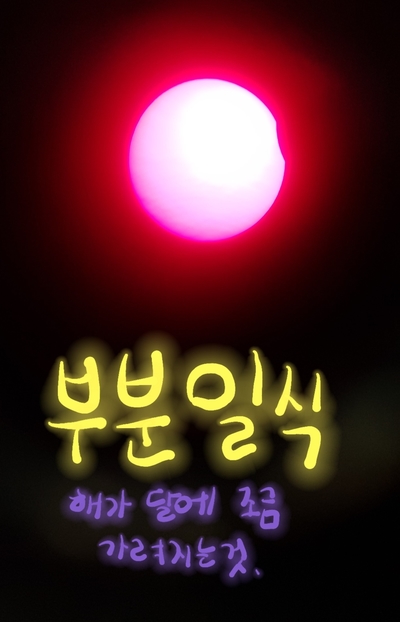  부분 일식을 보러 다녀왔어요