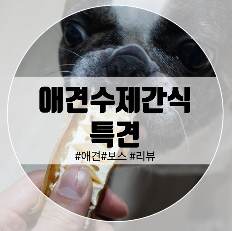  애견수제간식 하면 특견!  보스턴테리어 보스의 맛난 간식세상!