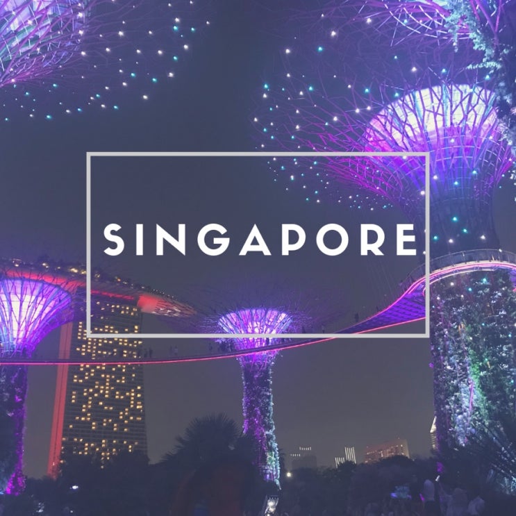 싱가포르 여행 2일차 / 나홀로여행 (리틀인디아-유람선-가든스바이더베이)