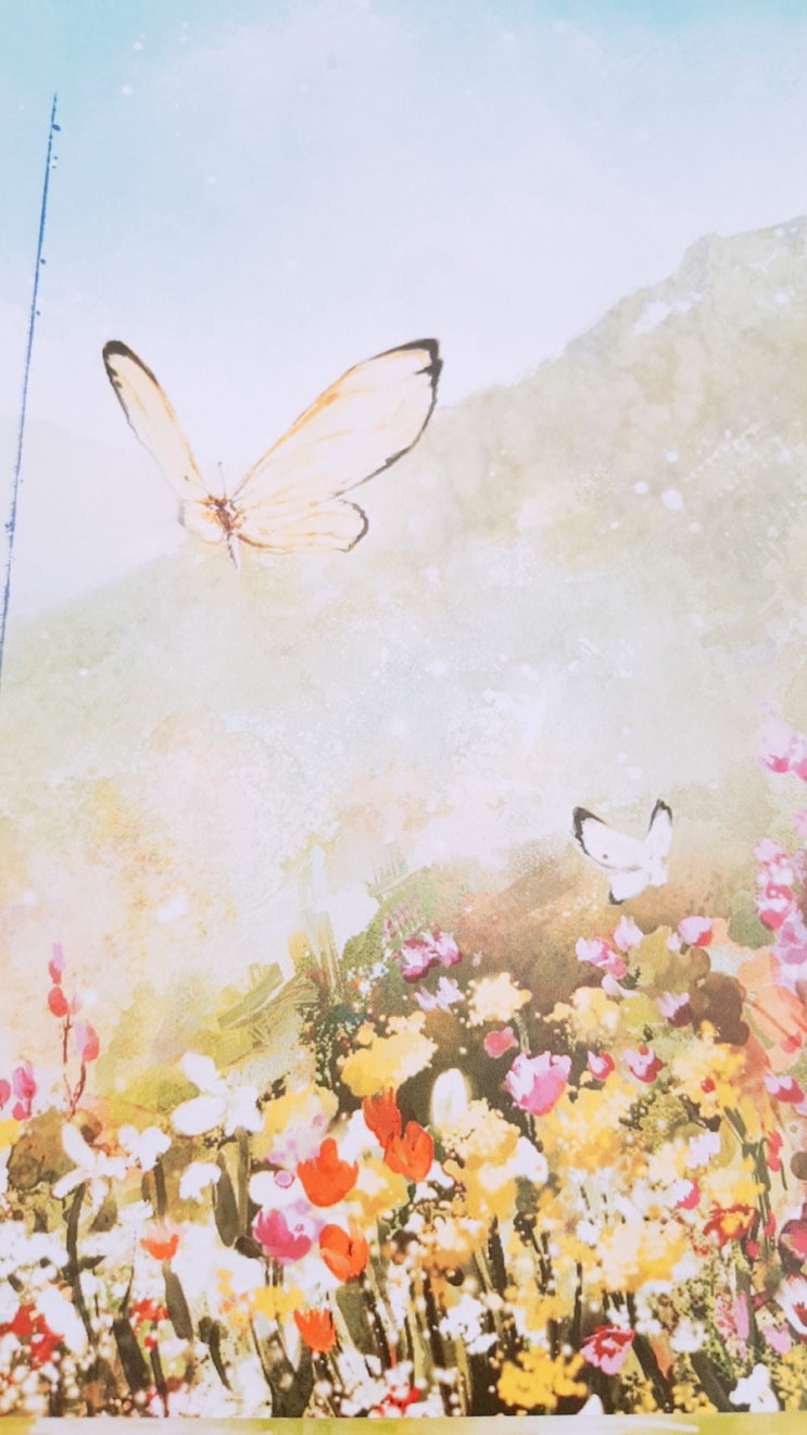 꽃장수 꽃장수