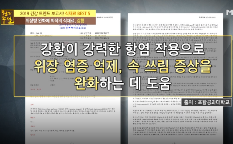  위장병에 좋다는 강황 울금의 효능