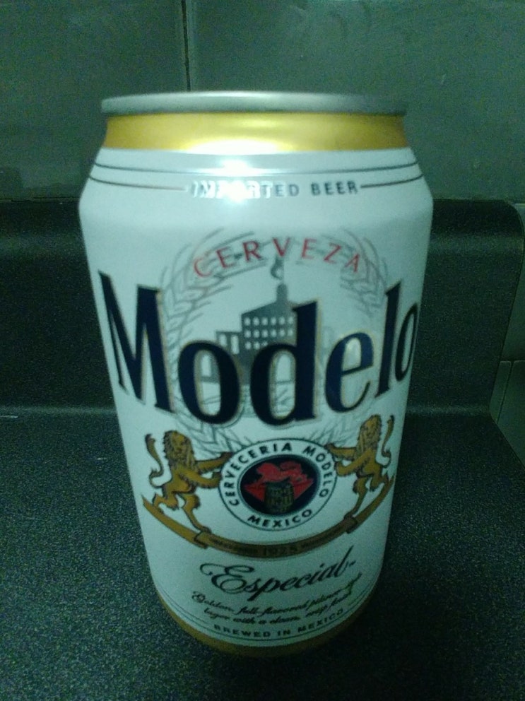  Modelo 시음