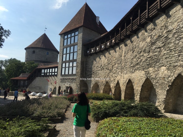  로얄캐리비안크루즈 세레나데호 북유럽여행 7일차 / Tallinn 탈린
