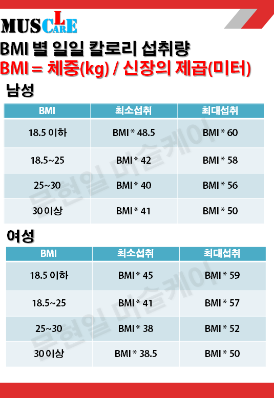  다이어트 식단 - "BMI 계산하기" BMI에 따른 칼로리 계산법 [운동처방사 문현일]