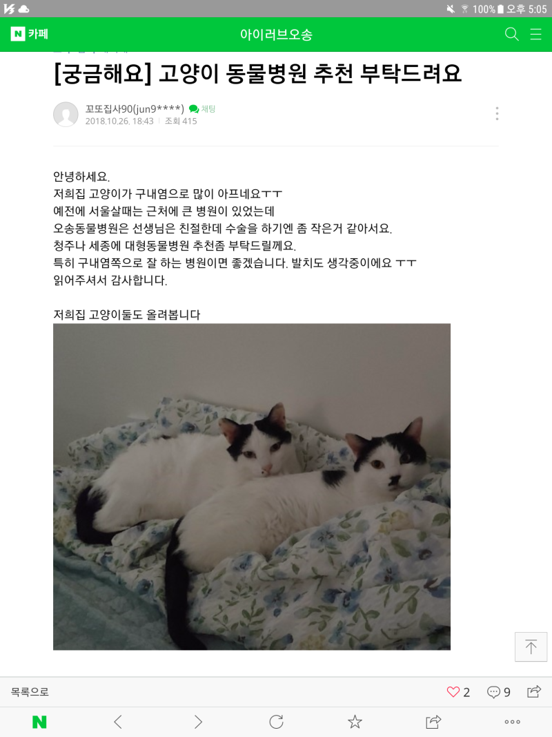 청주 고양이진료ㆍ수술잘하는동물병원-행복한동물병원/정성환동물병원❤소개추천 방문후....