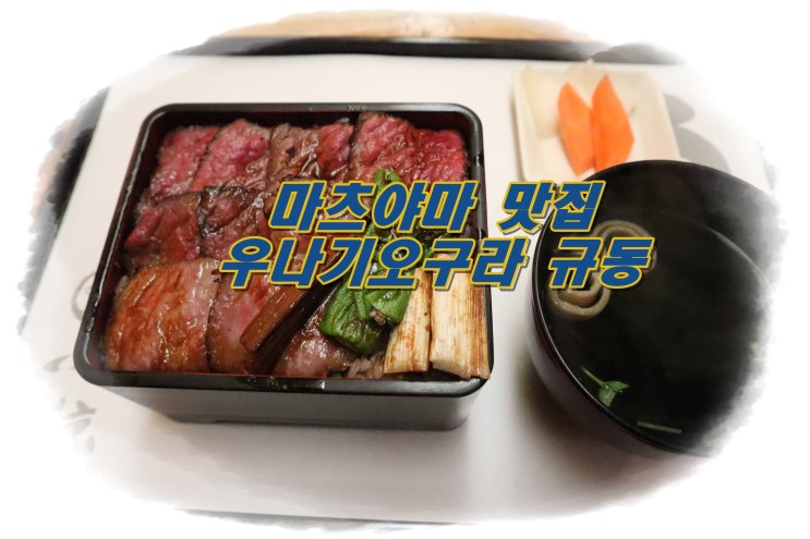 마츠야마 맛집 // 우나기오구라 소고기덮밥(규동)