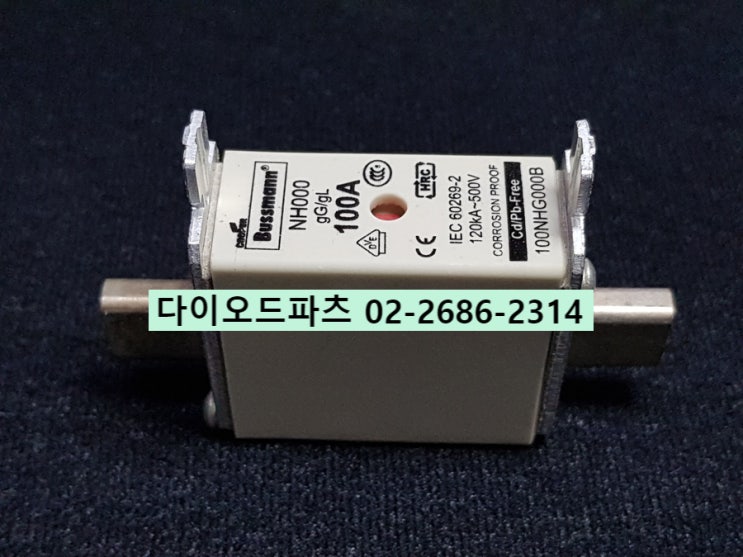  판매 100NHG000B / NH00 gG/gL / IEC60269-2 /  정품 판매점 다이오드파츠