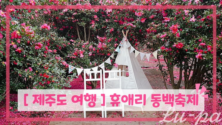 [ #제주여행 ] 휴애리 동백축제 ( #휴애리자연생활공원 / #제주도겨울가볼만한곳 )