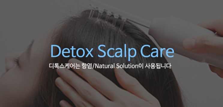디톡스 스칼프 케어 디톡스 스칼프 케어