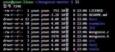 [Mongoose Cgi] C언어로 웹 서버 돌리기
