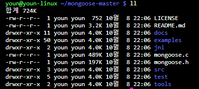  [Mongoose Cgi] C언어로 웹 서버 돌리기
