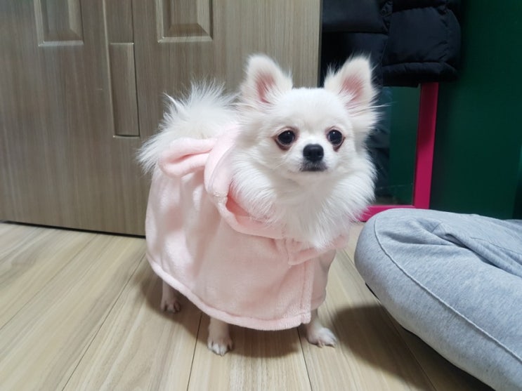  19년 1월 첫째주 대확행