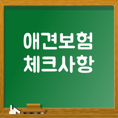  애견보험 가입 전 체크사항