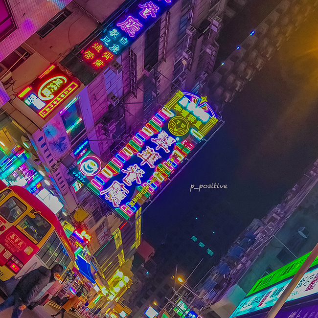  풩퀑 줠니