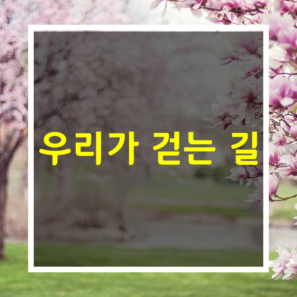  위로의 글귀[우리가 걷는 길]
