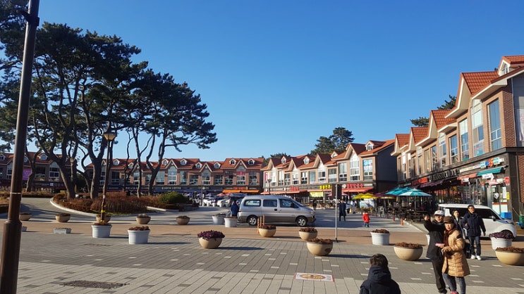  2019년 해맞이 캠핑 / 나정 고운 모래 해변, 대왕암 오토 캠핑장
