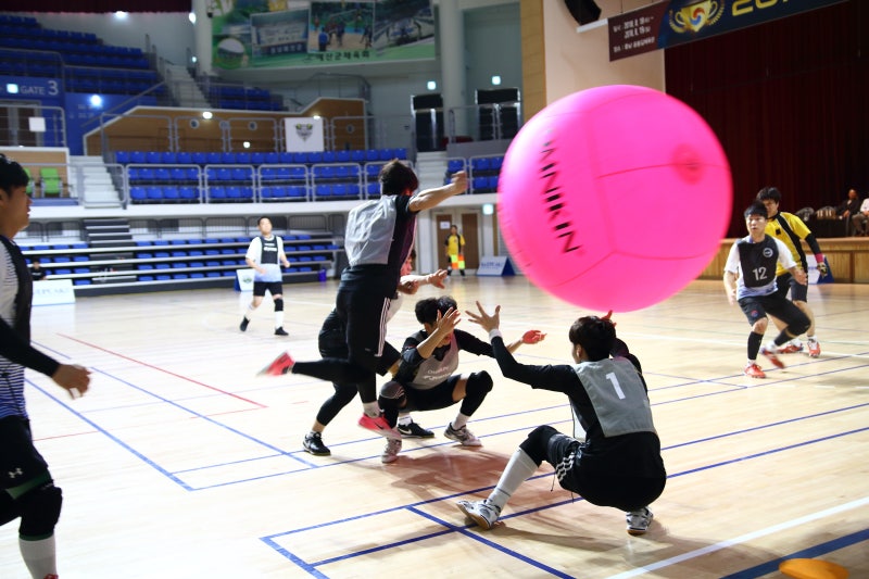 서울 킨볼 동호회 팀(SEOUL KIN-BALL TEAM) 소개 : 네이버 블로그