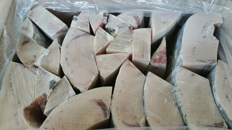  메카도로 황새치