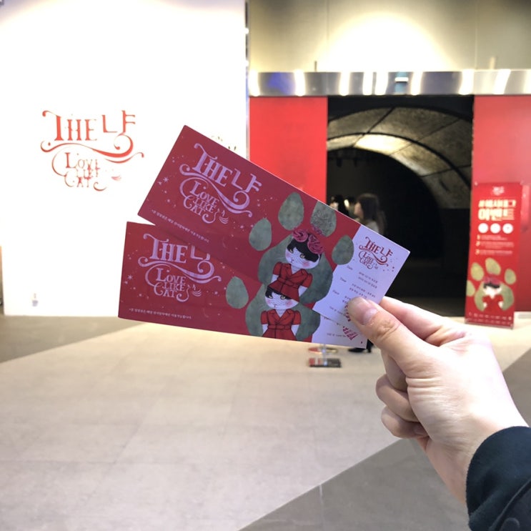  The 냥전 : 찾아가는 법, 후기