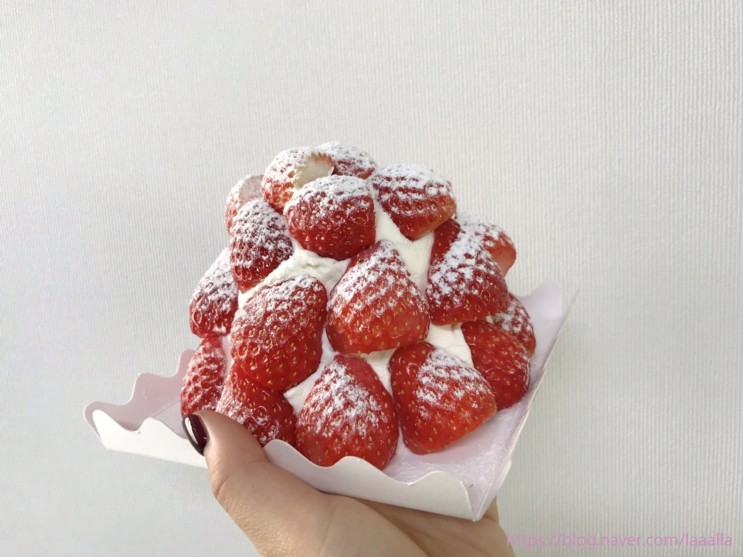 노원 디저트맛집 샛별제과 : 딸기 마운틴케이크