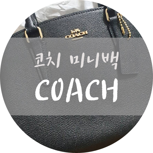  코치 미니백 선물받음 존예탱 가방