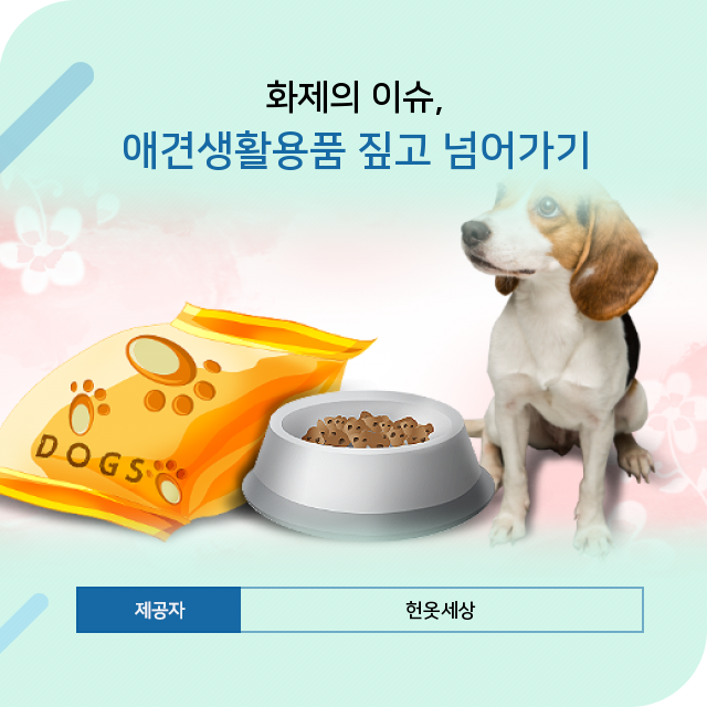  광주 헌옷팔기 총 집합! 애견생활용품 관련 정보 모음집