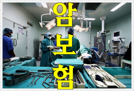 암보험갱신비갱신 확실히 알아보기 ~~~