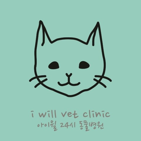  고양이 잘 못 걸어요, 눈을 안 깜빡여요 (서울 강남 24시 동물병원, 피검사, 입원) 