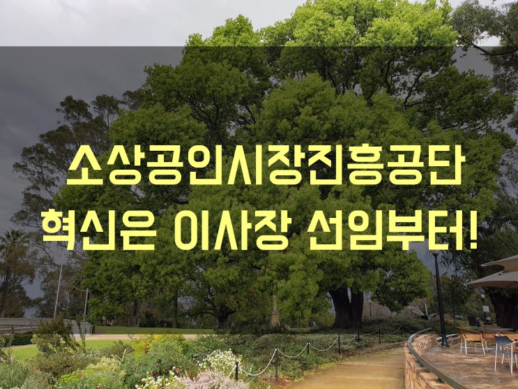 소상공인시장진흥공단 혁신은 이사장 선임부터!