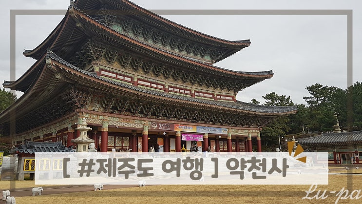  [ #제주도 여행 ] 약천사 ( 서귀표 약천사 / 제주도 명소 / 제주사찰 )