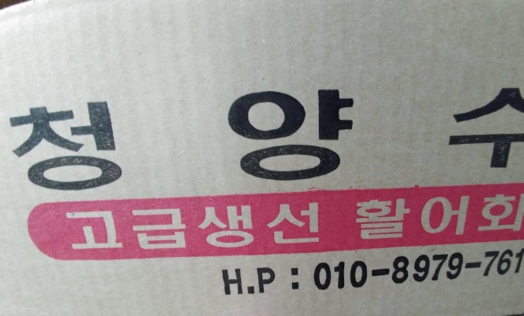  인어교주해적단 도미회 반은 성공, 매운탕 왕실패