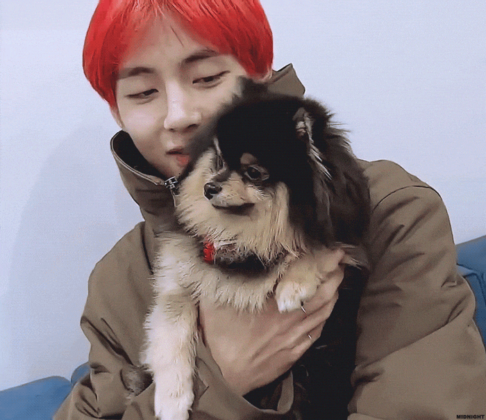  [뷔/태형] 탄이 멍멍 태태 뭉뭉