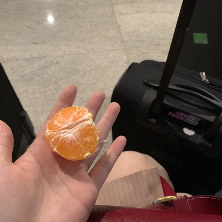  베이루트, 제다 턴어라운드 비행