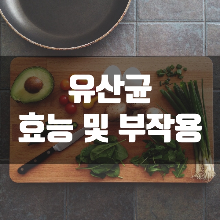  유산균 섭취 효능 및 부작용 분석정보