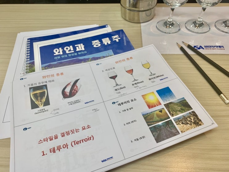 WSET Level 2_중급과정청강_수업복기