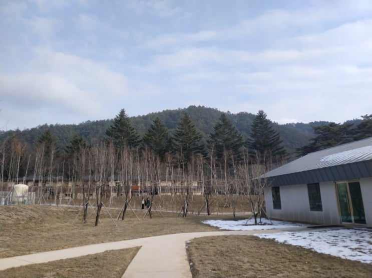  [평창] 오대산 자연명상마을 OMV 옴뷔 (Odaesan Meditation Village)