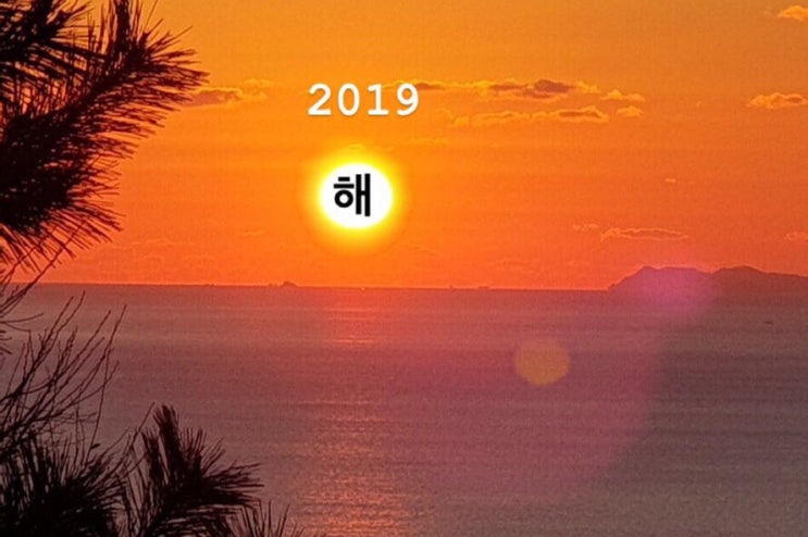  19/01 첫째주-둘째주