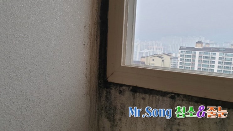  [미스터송청소&줄눈전문업체]양산반도유보라2차이사청소//미스터송홈케어서비스